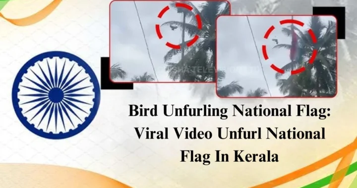 Bird Unfurling National Flag: Viral Video Unfurl National Flag In Kerala